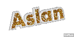 aslanbhai